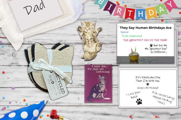 A curated selection of birthday gifts for cat lovers