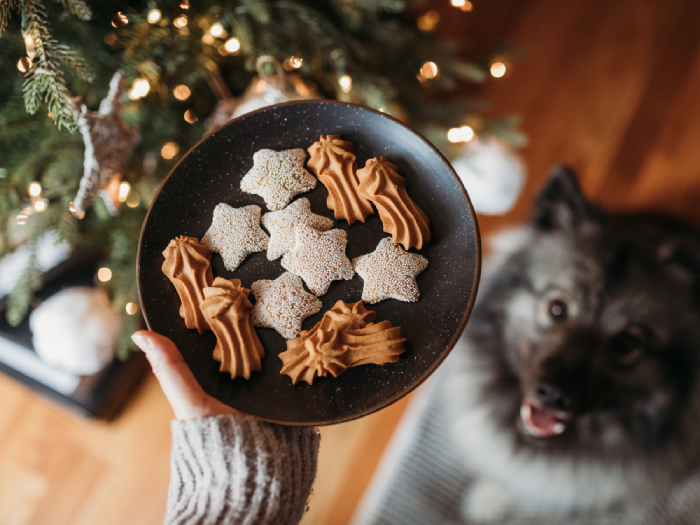 Festive dog treats and gourmet delights for the celebration 