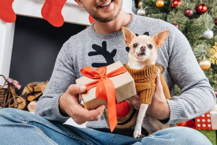 Top 9 Christmas gift ideas for dog lovers for the holiday’s spirit