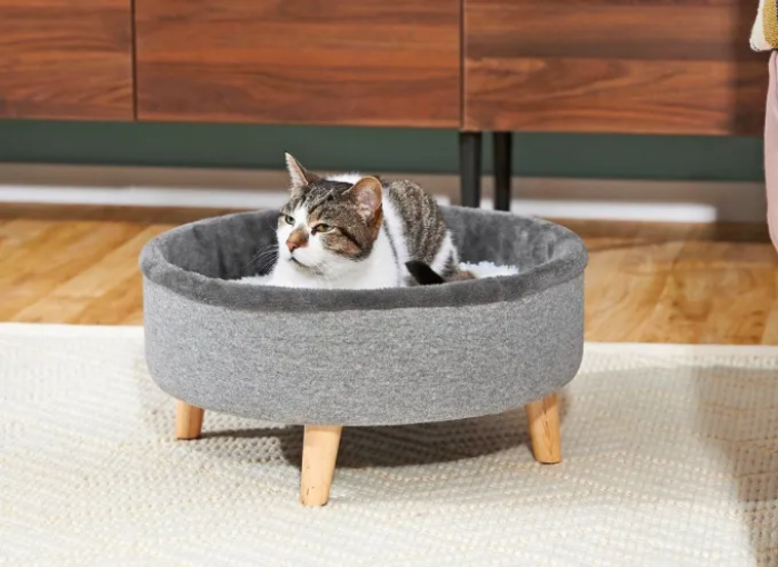 Cat furniture and comfort for their home